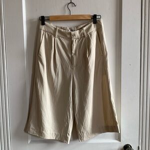 Madewell Slouchy Shorts